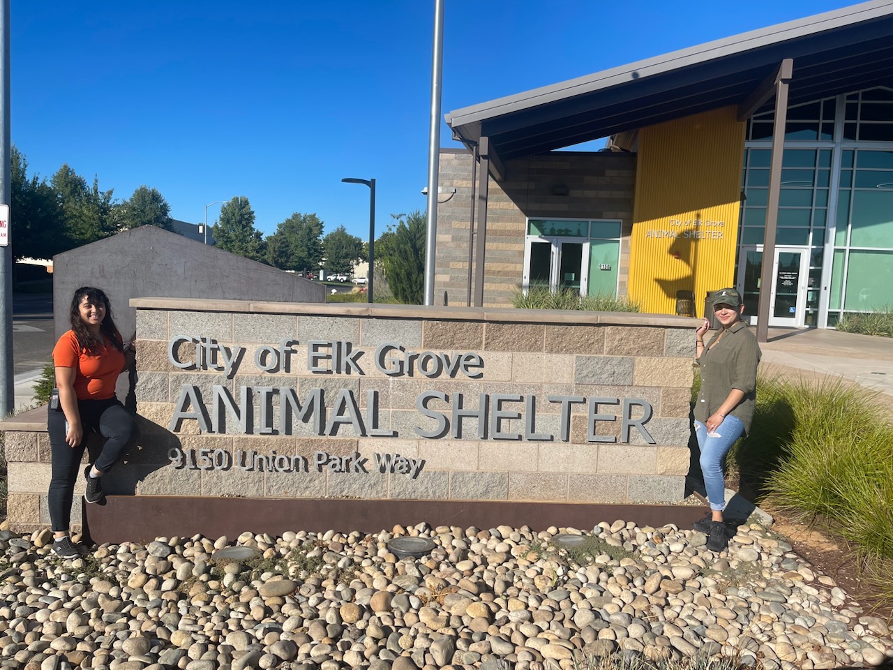 Elk Grove Animal Shelter